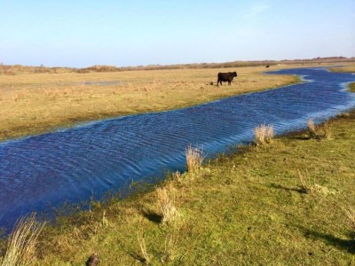 Holiday park Charming Thatched Villa in Texel - Environment photo 21