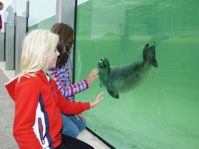 Holiday park Charming Thatched Villa in Texel - Environment photo 34