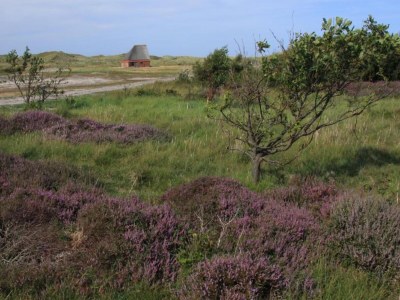 Holiday park Wohnung in den Niederlanden am Meer - Environment photo 19