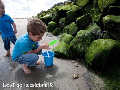 Holiday park Wohnung in den Niederlanden am Meer - Environment photo 30