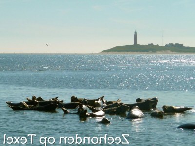 Holiday park Wohnung in den Niederlanden am Meer - Environment photo 31