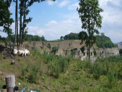 Holiday park Villa in Maastricht für Familien - Environment photo 17