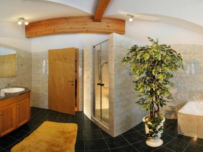 Apartment Apartment in Achenkirch near Lake Achensee - Features photo 8