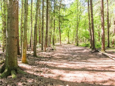 Holiday park Apartment in Utrecht near Historic Windmill - Environment photo 27