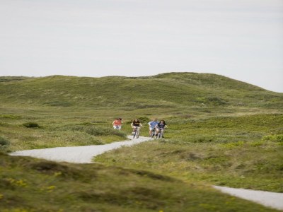 Holiday park Apartment in Friesland near the Coast - Environment photo 16