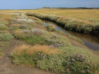 Holiday park Apartment in Friesland near the Coast - Environment photo 18