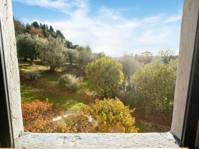 Holiday park Holiday Home with Vineyard Vibes - Features photo 16