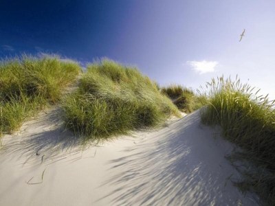 Holiday park Ground-Floor Texel Retreat - Environment photo 18