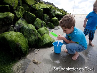 Holiday park Ground-Floor Texel Retreat - Environment photo 29
