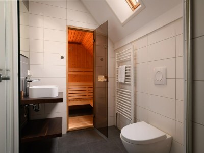 Holiday park Luxury Villa in Maastricht - Features photo 12