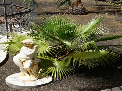 Holiday park Haus-Nr: SPC01042-BYD - Outdoor photo 6