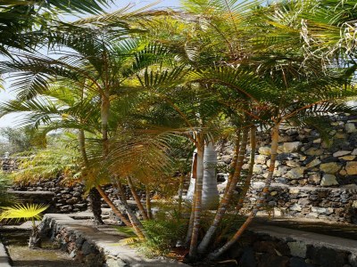 Holiday park Haus-Nr: SPC01042-BYD - Outdoor photo 9