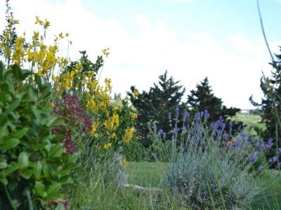 Holiday park Tuscan Vineyard Farm Stay - Environment photo 36