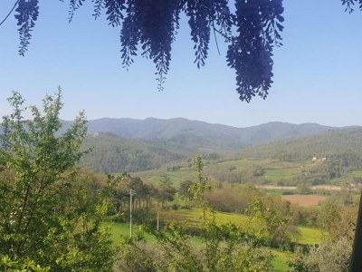 Holiday park Tuscan Vineyard Farm Stay - Environment photo 38