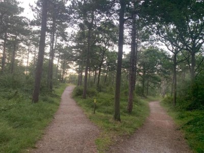 Holiday park Apartment auf Texel mit Sauna für 4 Von Belvilla - Environment photo 14