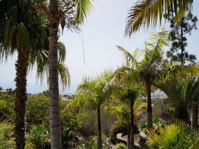 Holiday park Haus-Nr: SPC01042-DYC - Outdoor photo 7