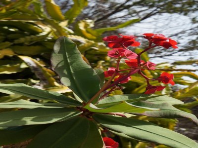 Holiday park Haus-Nr: SPC01042-DYC - Outdoor photo 9