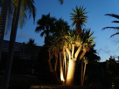 Holiday park Haus-Nr: SPC01042-DYC - Outdoor photo 10