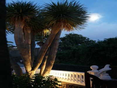 Holiday park Haus-Nr: SPC01042-DYC - Outdoor photo 12