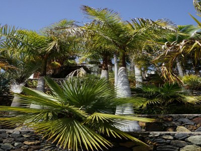 Holiday park Haus-Nr: SPC01042-DYC - Outdoor photo 15