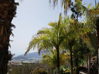 Holiday park Haus-Nr: SPC01042-DYC - Outdoor photo 17