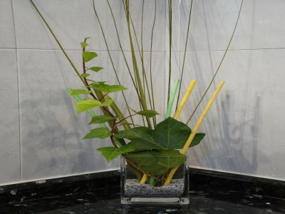 Holiday park Haus-Nr: SPC01042-DYC - Features photo 32