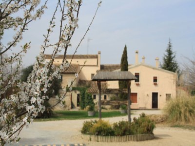 Holiday park Hütte in Subirats mit Pool & Weinbergen - Outdoor photo 7