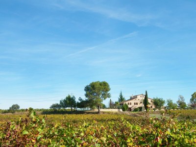 Holiday park Hütte in Subirats mit Pool & Weinbergen - Environment photo 23