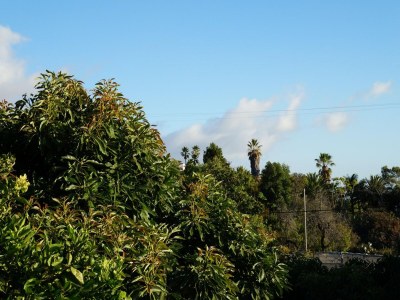 Holiday park Apartment in El Paso with spectacular views-formerly TUI Ferienhaus - Outdoor photo 16