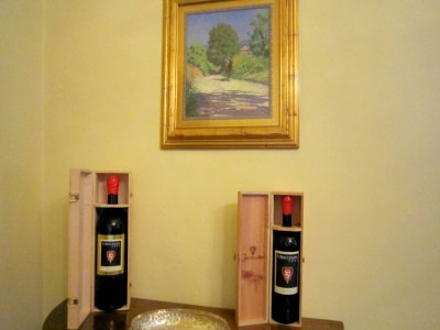 Holiday park Ferienhaus in der Toskana Weinberge - Outdoor photo 40