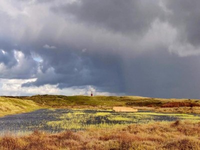 Holiday park Bungalow near Texel Coast with Garden - Environment photo 26