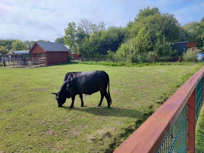 Apartment Ferienwohnung in St. Peter-Ording - Environment photo 14