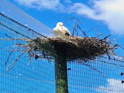 Apartment Ferienwohnung in St. Peter-Ording - Environment photo 16