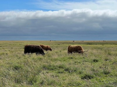 Apartment Ferienwohnung in St. Peter-Ording - Environment photo 18