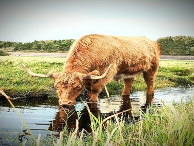 Apartment Ferienwohnung in St. Peter-Ording - Environment photo 31