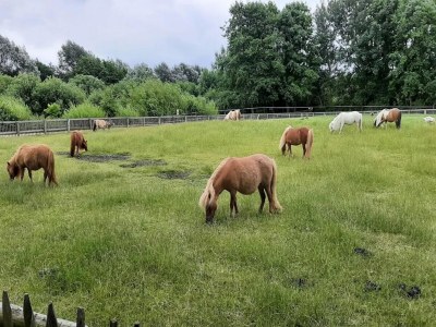 Apartment Ferienwohnung in St. Peter-Ording - Environment photo 33