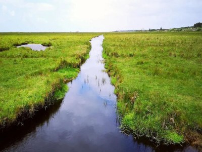 Apartment Ferienwohnung in St. Peter-Ording - Environment photo 35