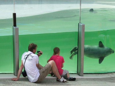 Holiday park Villa auf Texel nahe De Koog Strand - Environment photo 13