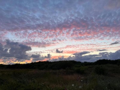 Holiday park Villa auf Texel nahe De Koog Strand - Environment photo 24