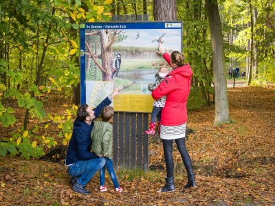 Holiday park Villa auf Texel nahe De Koog Strand - Environment photo 31