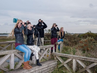 Holiday park Villa auf Texel nahe De Koog Strand - Environment photo 49