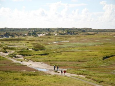 Holiday park Villa auf Texel nahe De Koog Strand - Environment photo 63