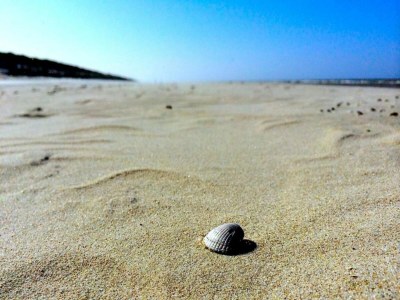 Holiday park Villa auf Texel nahe De Koog Strand - Environment photo 67