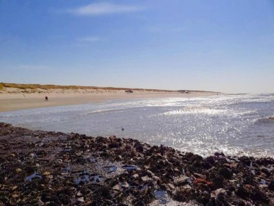 Holiday park Villa auf Texel nahe De Koog Strand - Environment photo 69