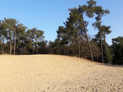 Holiday park Lodge in Duinhoeve nahe Dünen & Spielplatz - Environment photo 28