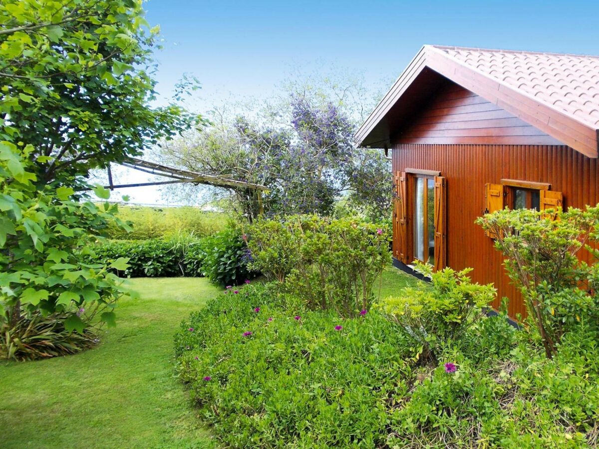 Holiday park Bungalow São Miguel nahe Strand Vila Franca - Outdoor photo 5