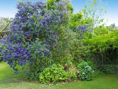 Holiday park Bungalow São Miguel nahe Strand Vila Franca - Outdoor photo 11
