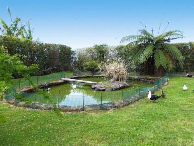 Holiday park Bungalow São Miguel nahe Strand Vila Franca - Outdoor photo 31