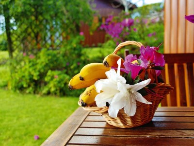 Holiday park Bungalow São Miguel nahe Strand Vila Franca - Outdoor photo 33