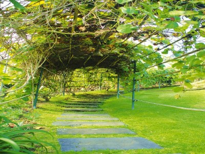 Holiday park Bungalow São Miguel nahe Strand Vila Franca - Outdoor photo 34